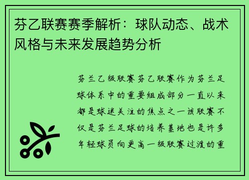 芬乙联赛赛季解析：球队动态、战术风格与未来发展趋势分析