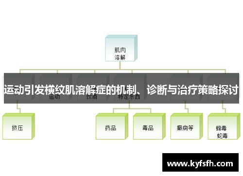 运动引发横纹肌溶解症的机制、诊断与治疗策略探讨